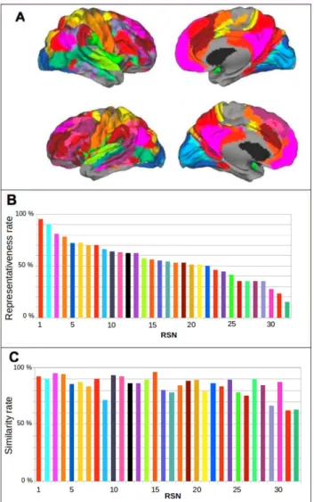 Fig. 2.1.: Mapping and representativeness of RSNs and similarities in two different populations.