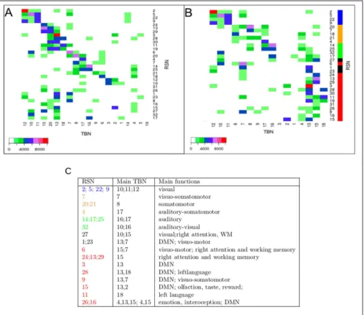 Fig. 2.2.: RSN × TBN overlap matrix. (A) RSN × TBN matrix showing overlaps (topographical similarity) between the 32 Resting State Networks (RSN, vertical axis) and the 18 reference Task Based Networks (TBNs, horizontal axis)