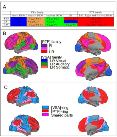 Fig. 2.4.: Mapping of VSA and PTF families. (A) Comparison of clustering results on the 3 matri- matri-ces TBN × RSN , BA × RSN and BAF × RSN 