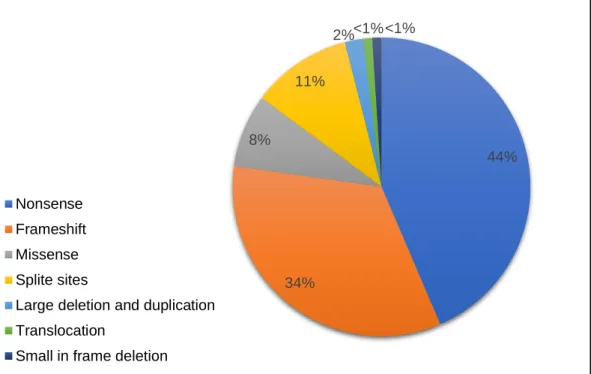 Figure  3.  Distribution  of  pathogenic  mutation  types  in  the  CHD7  gene  (Adapted from https://www.chd7.org)