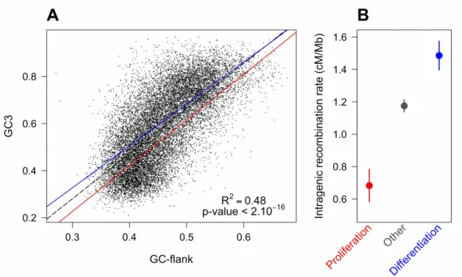 Figure 2: Difference in SCU between “proliferation” and “differentiation” genes is linked to variation in intragenic recombination rate, and not to their isochore context
