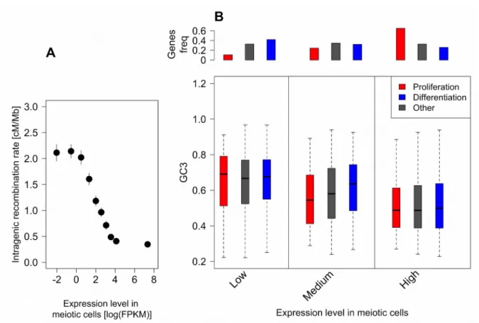 Figure 3: Variation in intragenic recombination rate and GC3 according to expression levels  in meiotic cells.