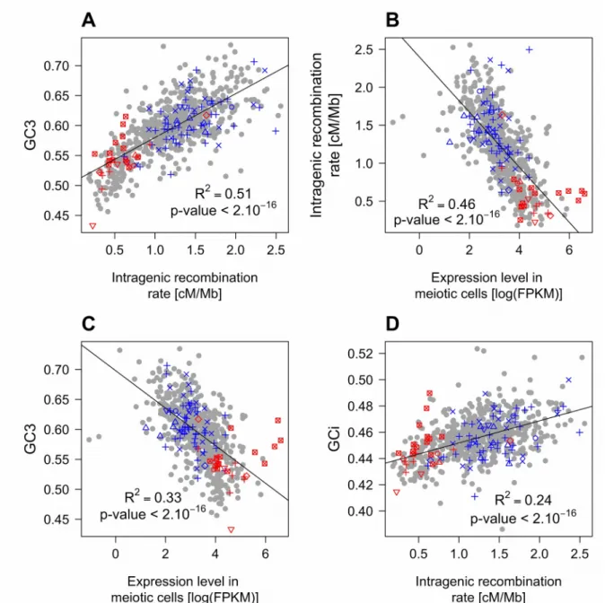 Figure 5: Relationships between GC-content, intragenic recombination rates and meiotic expression levels (sex-averaged) among functional gene categories