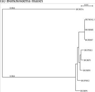 Figure S1: Trees used for intraspecific analyses.