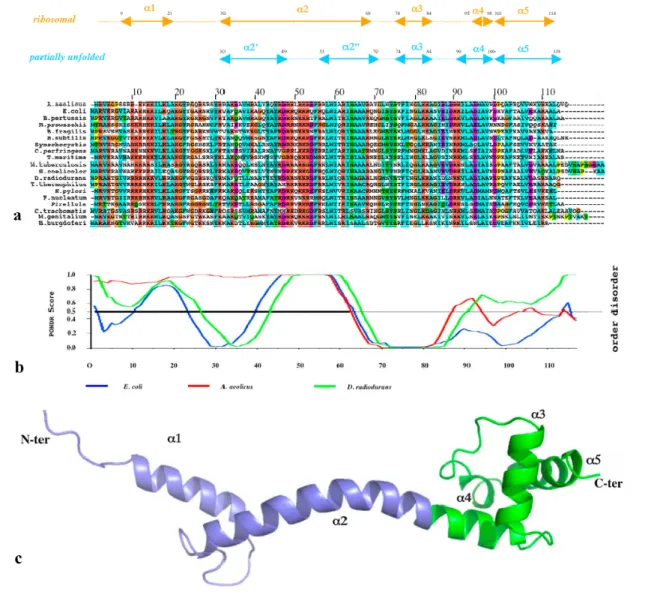 Figure 5. (a) Sequence alignment of the ribosomal protein L20 of representative species of  eubacteria