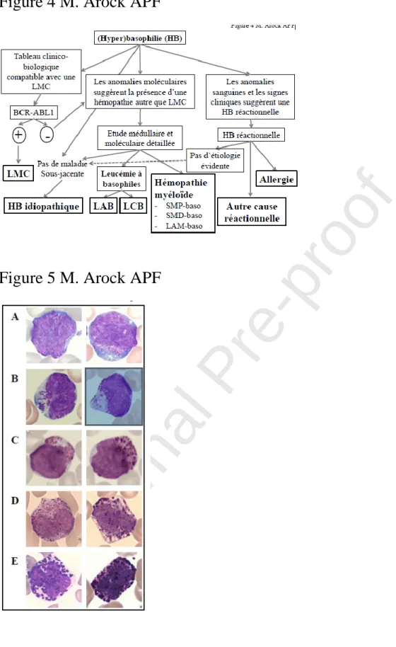 Figure 4 M. Arock APF