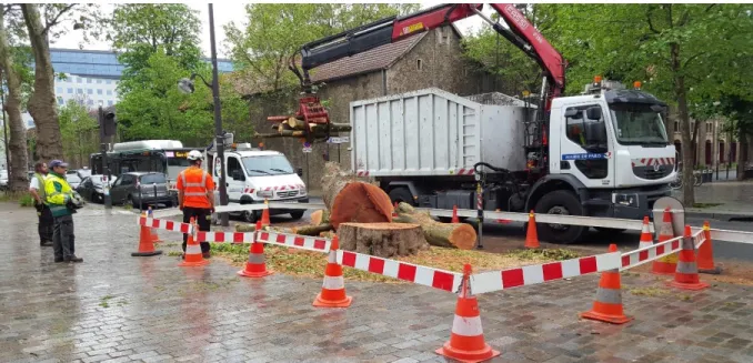 Fig. 6 : Pied d’arbre inaccessible dans le 12ème arrondissement de Paris-Rue de Terroirs de France / © crédit photo : Mona  OMAR 