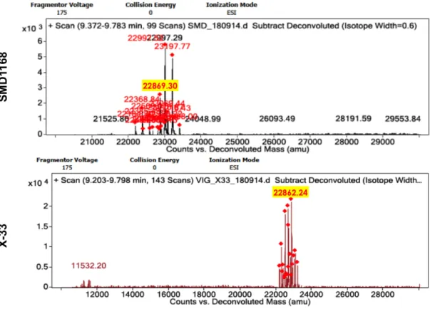 Figure R.6. Analyse spectrométrie en mass (ESI-Q-TOF) de fractions contenant la rhApoA1  purifiées à partir P