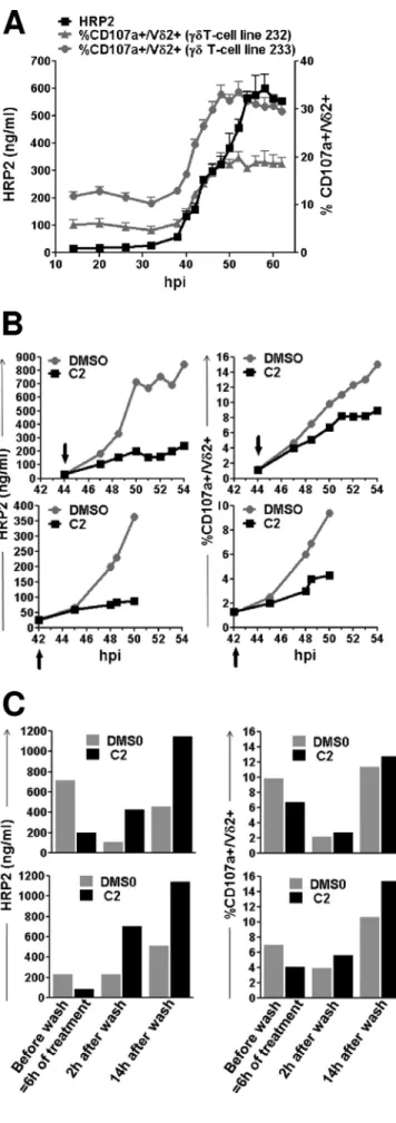 FIG 4 Phosphoantigens are released during iRBC rupture. (A) Synchronized parasites from 3 independent cultures (A, B, and C) at 1% parasitemia were cultured in CPM for 62 h, and iRBC supernatants were collected at the  indi-cated time points (hours postinv