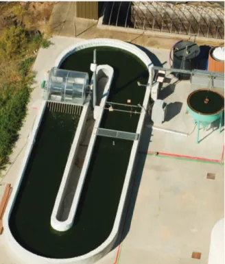 Figure 3. A typical raceway for cultivating microalgae. Notice the paddlewheel which mixes the culture suspension