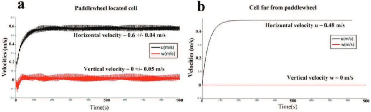 Figure 5. (a): Velocities along vertical and horizontal axis in a cell located near from the wheel rotating at angular speed ω = 0.8rad/s, with a force magnitude of F = 10N.m − 3 