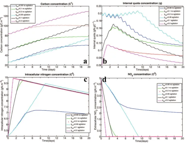 Figure 7. (a): Carbon concentration; (b): Internal quota q; (c): nitrogen con- con-centration; (d): substrate concentration(N O 3 )