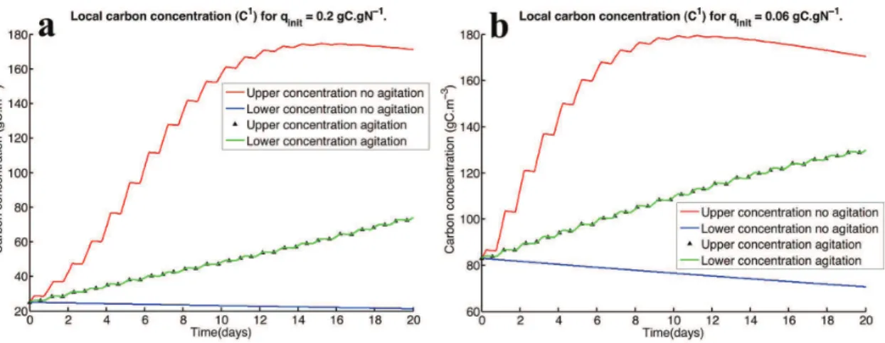 Figure 8. (a): Local carbon concentration when q init = 0.2gN.gC − 1 , in the bot- bot-tom and upper layer, with and without agitation