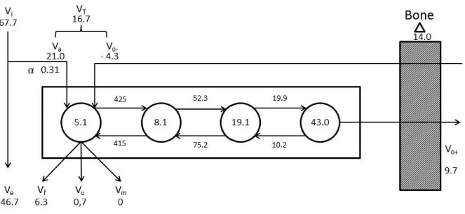 Figure I.1: Intern Ca ﬂ ows in a non-lactating dairy cows (Ramberg et al., 1970). The central box represents repartition of non-skeletal Ca in the model
