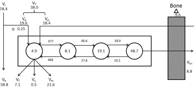 Figure I.9: Intern Ca ﬂ ows in a lactating dairy cows (Ramberg et al., 1970). The central box represents repartition of non-skeletal Ca in the model
