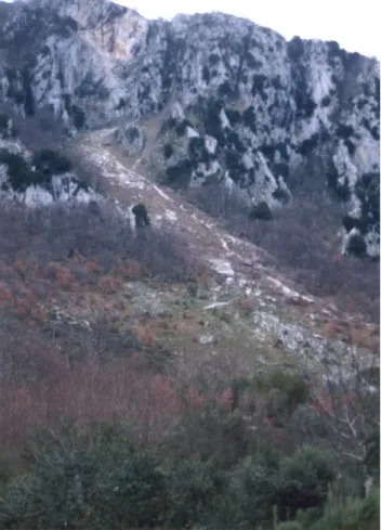 Fig. 5. Rock-fall source area in the mountain above the town of Valva. Note the high gradient of the talus slope, and the freshness along the rock-fall path, the latter testifying to recent slope  move-ment activity.