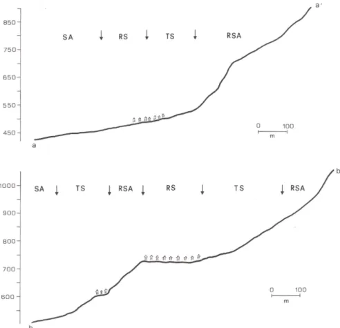 Fig. 6. Topographic profiles at the western slopes of Mt. Valva and Mt. Marzano (for location see Fig