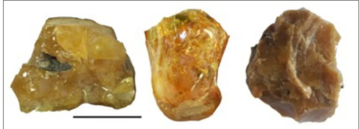 Fig. 1. Typical aspect and colours of the Cretaceous (Cenomanian) amber of the Paris Basin