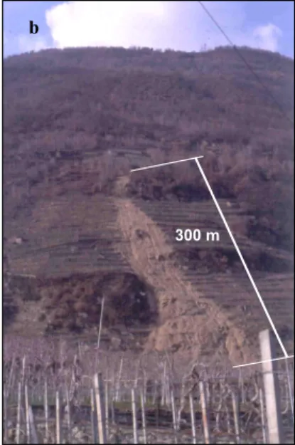 Fig. 7. Landslides on terraced areas. (a) Soil slip evolved in a small debris flow (about 50 m length) along a terraced slope; (b) the widening (up to 60 m) of an initial small soil slip (10 m wide) is shown (total length about 300 m).