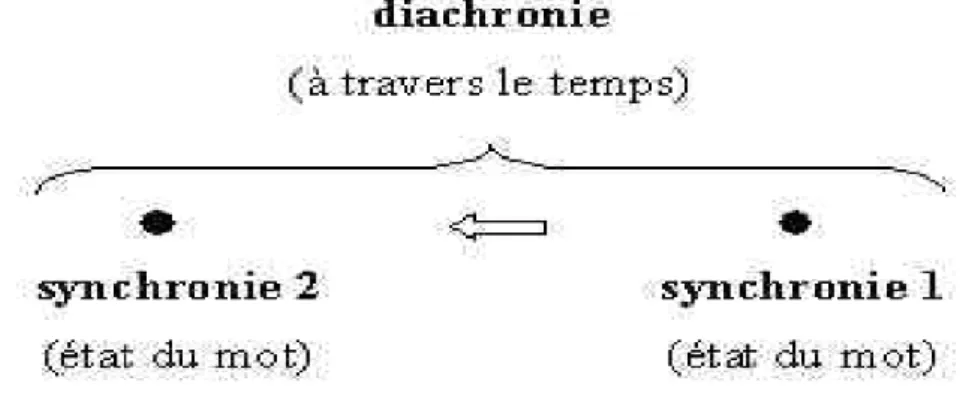 Illustration des concepts dichotomiques de synchronie et diachronie  au sein de la théorie de Saussure 