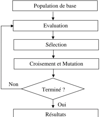Figure 1.10 : Principe des algorithmes génétiques 