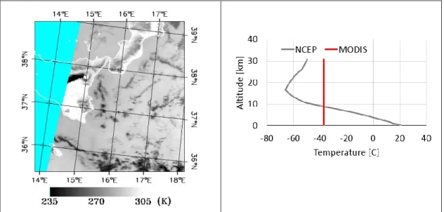 Figure  5.  Left  panel:  brightness  temperature  at  11  m  for  the  moderate  resolution  imaging 
