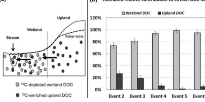 Figure 10. (a) Sketch illustrating the opportunity offered by sta- sta-ble carbon isotopes to quantify the relative contribution of riparian and upland DOC sources and (b) estimated relative contribution of riparian and upland DOC sources to stream DOC flu