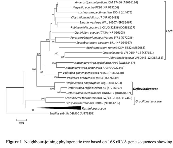 Figure 1  Neighbour-joining phylogenetic tree based on 16S rRNA gene sequences showing 102 