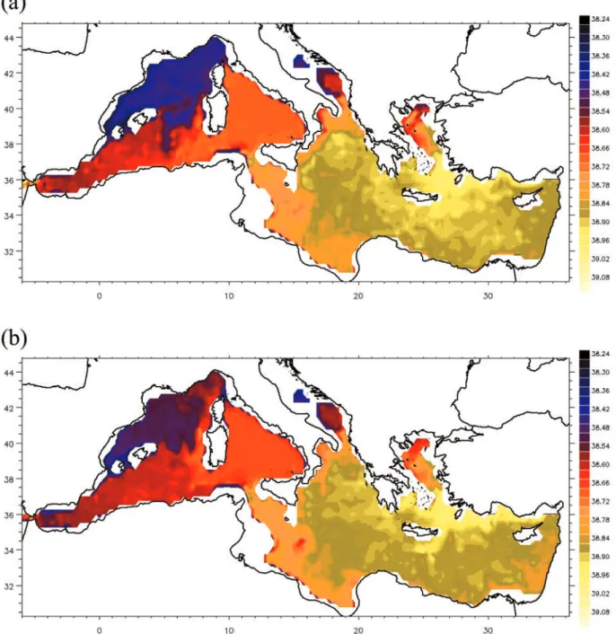 Figure 10. Map of vertical salinity maximum for February of year 100 of the simulation: (a) KVIS and (b) WD.