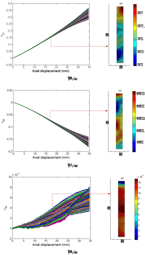 Figure 4.8: DIC strains computed during the test of PP at 1 mm/min