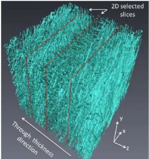 Figure 4.19: Reconstructed 3D microstructure of PP-30GF by micro-computed tomography