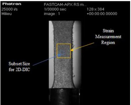 Figure 4-1 Reference image for 2D-DIC specimen measurements with Subset size of 18×18 pixels