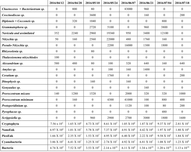 Table S3: Raw data table of phytoplankton and bacteria counts.     2016/04/12  2016/04/28  2016/05/10  2016/05/24  2016/06/07  2016/06/21  2016/07/04  2016/07/18  Chaetoceros  + Bacteriastrum sp