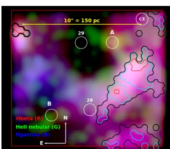 Figure 7. Extinction contours superposed on the MEGARA RGB nebular images. Smoothed images in Hβ, He ii λ4686 and Hγ are used as red, green and blue components, respectively