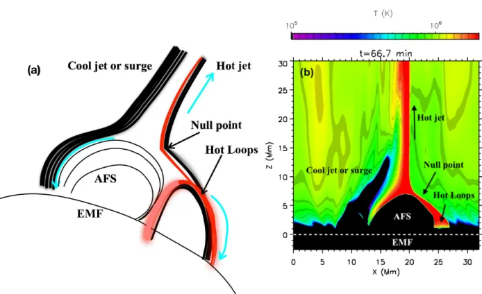 Fig. 8. Panel a: schematic view of the 3D jet derived from Moreno-Insertis et al. (2008), showing the location of the null-point, the cool surge, and the hot loops next to the AFS