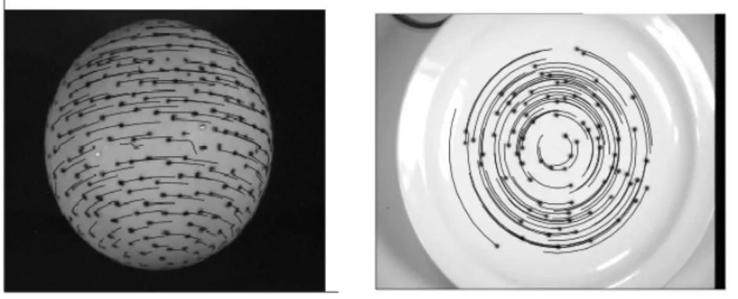 Figure 2.3: Examples of point correspondence : "Tracks obtained for a rotating ball and dish sequences." Illustration from [99].