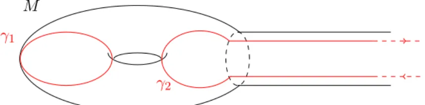 Figure 6. Two possible singular periodic orbits