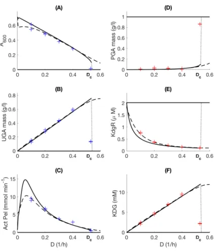 Figure 2: Stationary states of the system variables in function of the dilution coefficient D