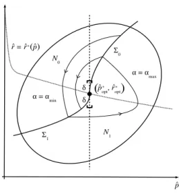 Figure 2: Chattering phenomenon on the plane (ˆ p, r) ˆ in the problem (11)–