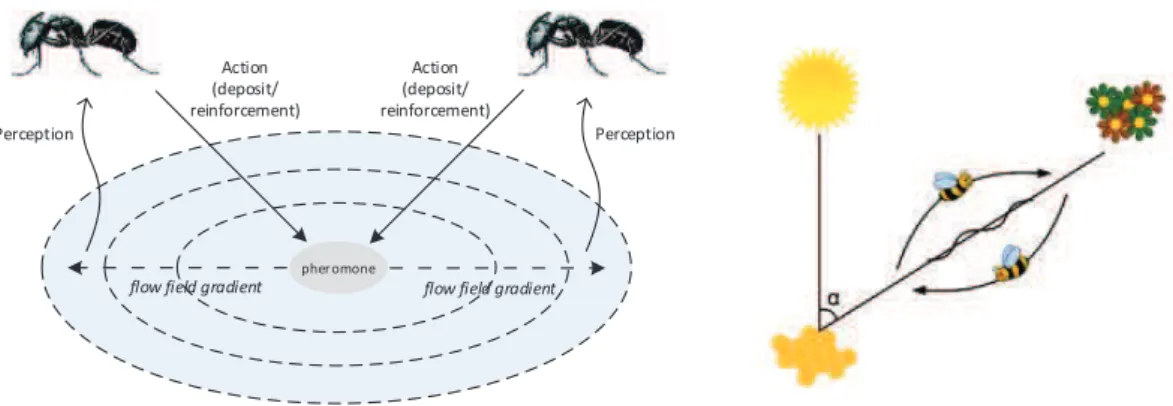 Figure 3.1 – Indirect Communication in Insect Swarms: a) the Deposition and Sensing of Pheromones by Ants [adapted from (Parunak et al., 2003)]; b) the Waggle Dance Used by Bees