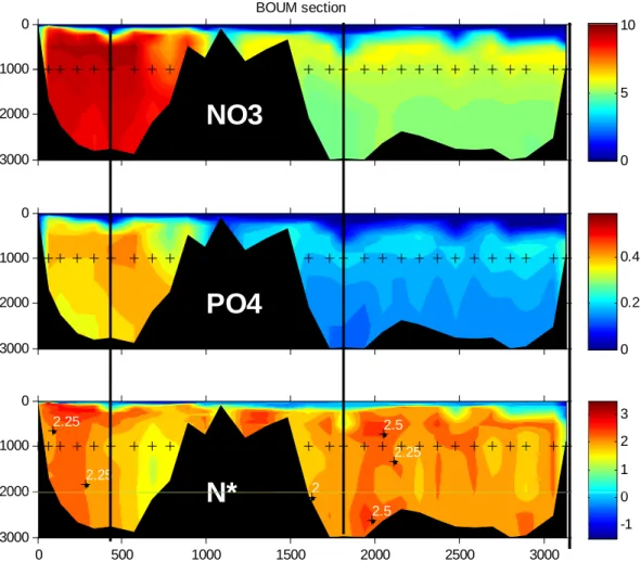 Fig. 5. Nitrate and phosphate concentrations (µM) and N* (µM) sections along the BOUM transect (0–3000 dbars)
