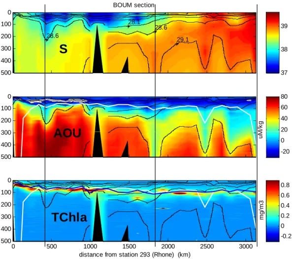 Fig. 6. Salinity, AOU (µmol kg −1 ) and “Chlorophyll” section (in situ fluorescence units) along the BOUM transect (0–500 dbars)