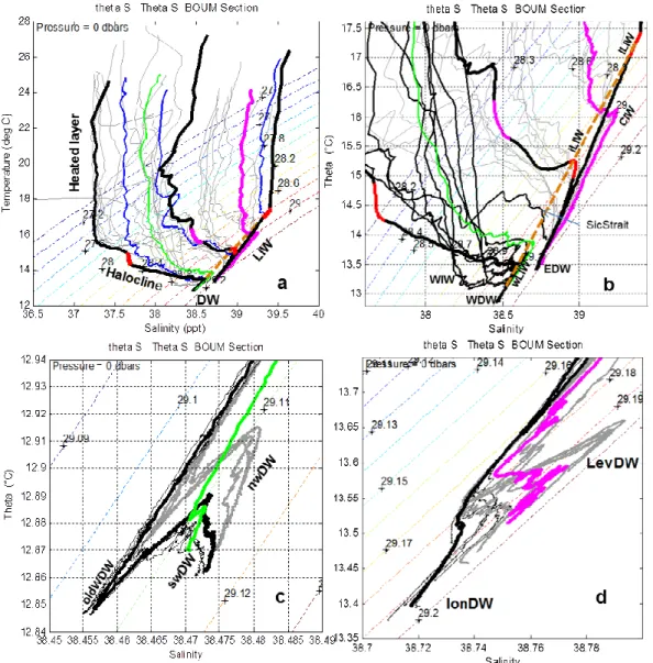 Fig. 2. θ − S diagrams for all the 30 deep casts of the BOUM section. (a) Full range, with indications of heated layer, halocline, LIW layer and deep layer, DW (see text)