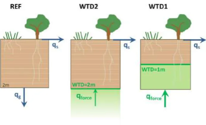Figure  3a–c shows that very high q force  is needed in  sandy soils, which combine high saturated hydraulic  con-ductivity and low matric potential, and therefore easily  release water for transpiration
