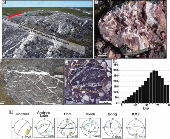 Figure 2. (A) Outcrop view looking east on the N80-trending steeply dipping to the north Judge  Sisson fault (JSF) underlain by at least 10 m of white quartz veins; (B) heterogeneous size,  pervasively hematized clasts cemented by a white quartz matrix; (C