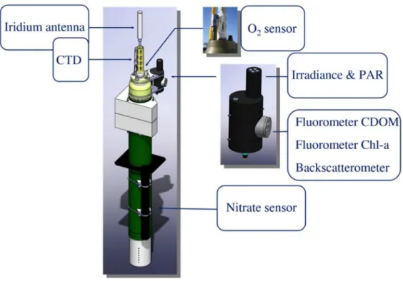 Figure 1. Schematic representation of a PROVBIO-V2 ﬂoat equipped with bio-optical and nitrate sensors (SUNA V2).