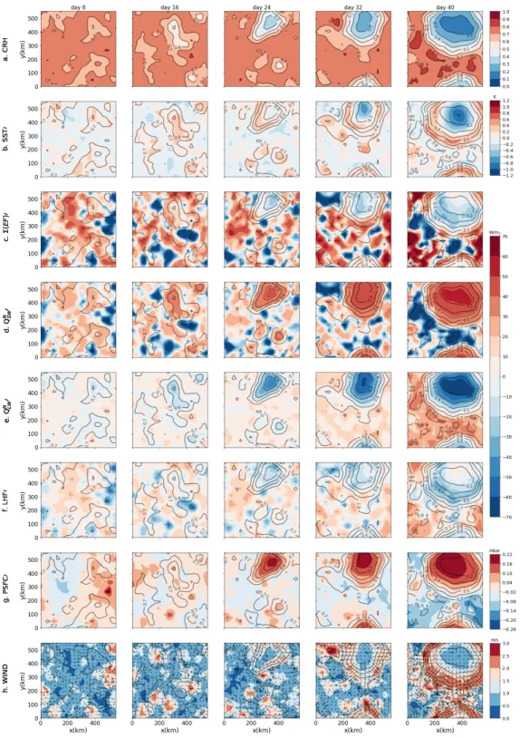 Figure 2. The rows show daily mean of: a) CRH, b) SST anomaly, c) Net energy flux at the surface, d) net shortwave radiative flux anomaly at the surface, e) net longwave radiative flux anomaly at the surface, f) surface latent heat flux anomaly, g) surface