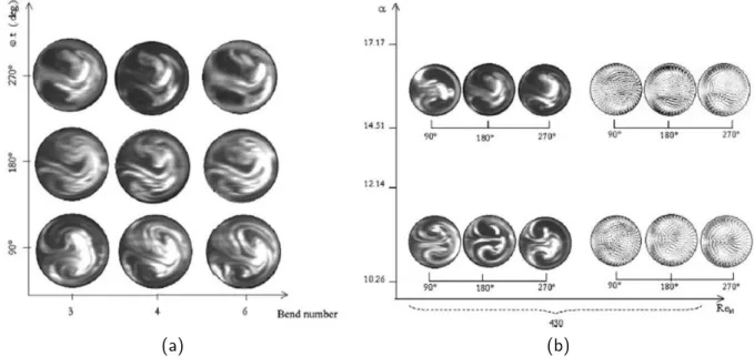 Figure 1.5: Experimental and numerical visualization of secondary ﬂows for various: (a) bend number; (b) dimensionless frequency parameter α [Timité et al., 2011]