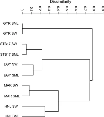 Fig. 3. Relation between (a) pigment concentration and (b) the abundance of autotrophic and heterotrophic cells in the surface  mi-crolayer (SML) and in surface waters (SW)