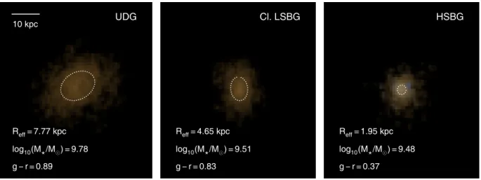 Figure 1. Example g-, r-, and i-band false colour images of low-mass Horizon-AGN galaxies